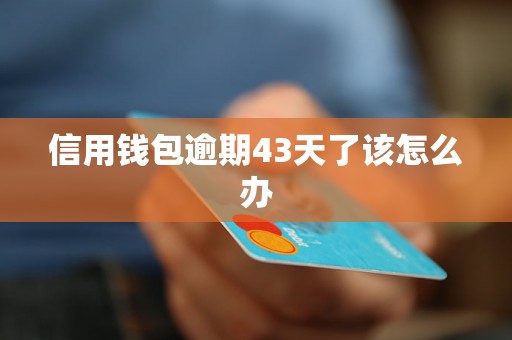 信用钱包逾期43天了该怎么办 信用钱包逾期43天了该怎么办
