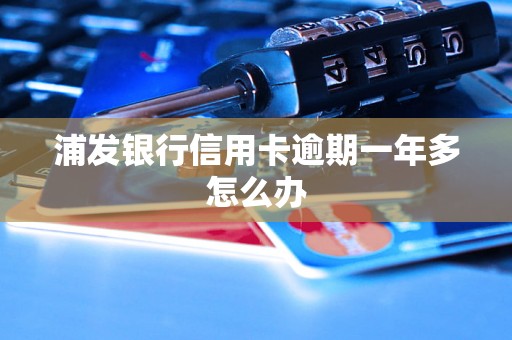 浦发银行信用卡逾期一年多怎么办