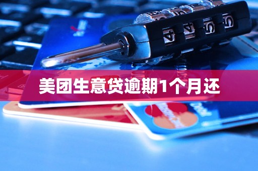 美团生意贷逾期1个月还