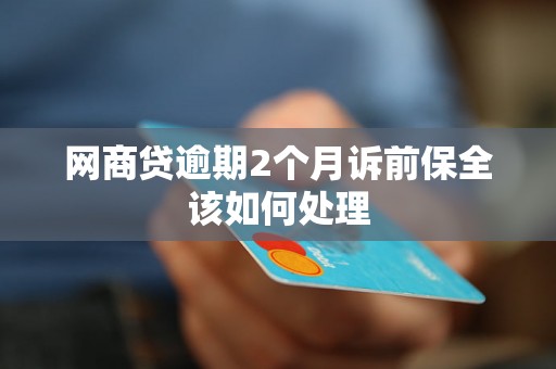 网商贷逾期2个月诉前保全该如何处理 网商贷逾期2个月诉前保全该如何处理