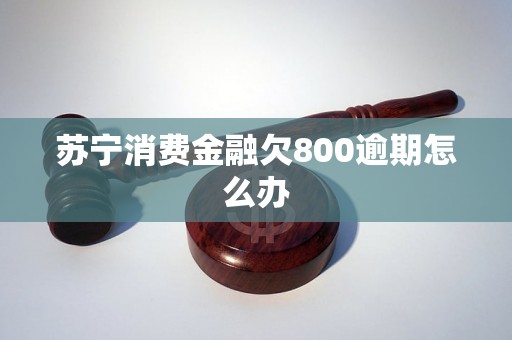 苏宁消费金融欠800逾期怎么办 苏宁消费金融欠800逾期怎么办