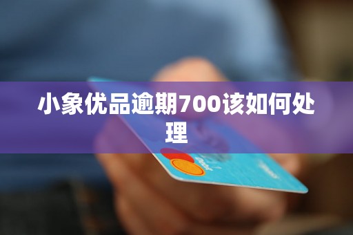 小象优品逾期700该如何处理 小象优品逾期700该如何处理