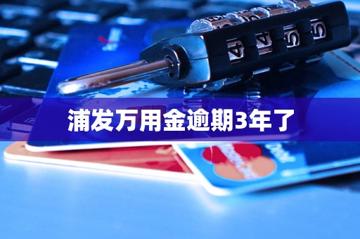 浦发万用金逾期3年了