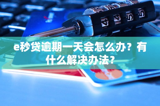 e秒贷逾期一天会怎么办？有什么解决办法？