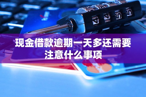 现金借款逾期一天多还需要注意什么事项