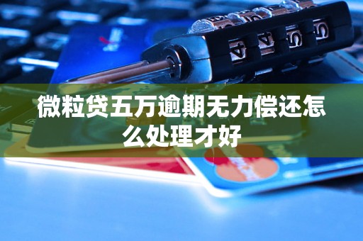 微粒贷五万逾期无力偿还怎么处理才好