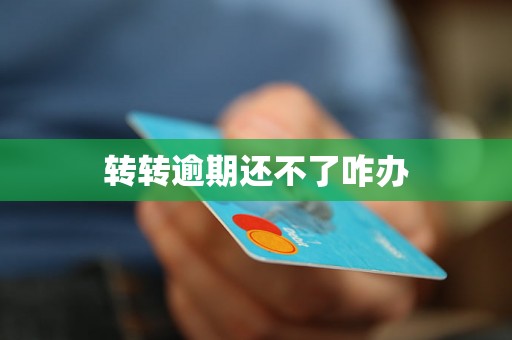 转转逾期还不了咋办 转转逾期还不了咋办