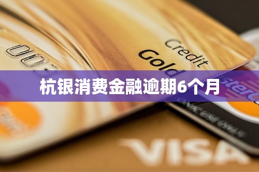 杭銀消費(fèi)金融逾期6個月