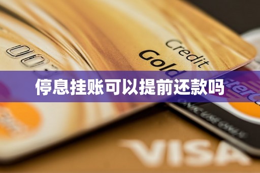 停息挂账可以提前还款吗
