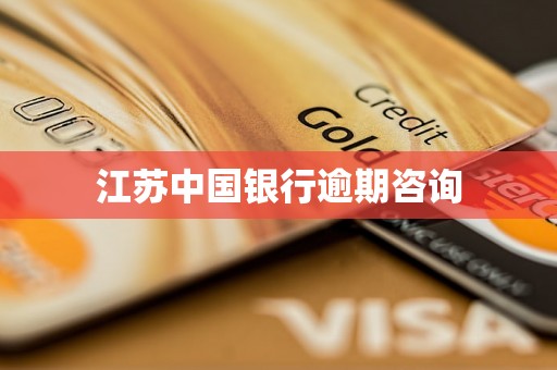 江苏中国银行逾期咨询