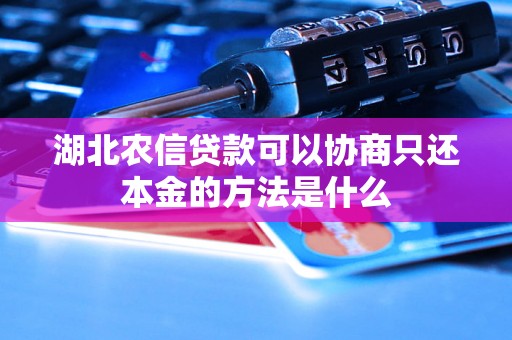 湖北农信贷款可以协商只还本金的方法是什么