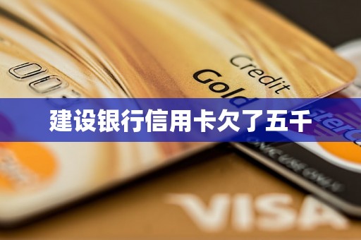 建设银行信用卡欠了五千