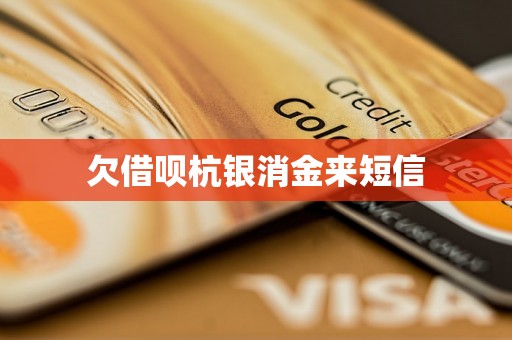 欠借呗杭银消金来短信