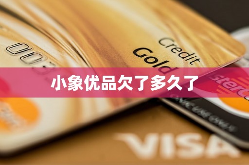 小象优品欠了多久了
