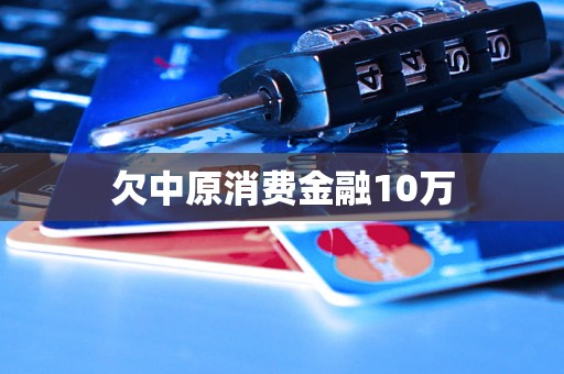 欠中原消费金融10万 欠中原消费金融10万