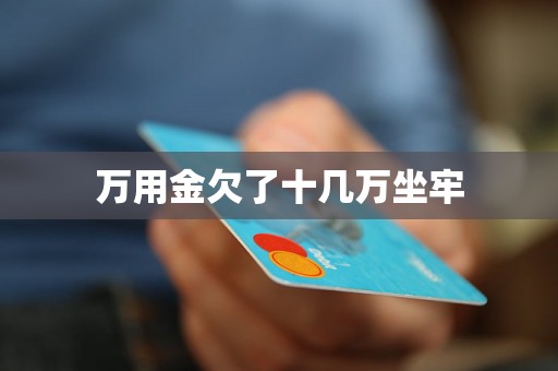 万用金欠了十几万坐牢
