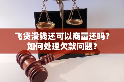 飞贷没钱还可以商量还吗？如何处理欠款问题？