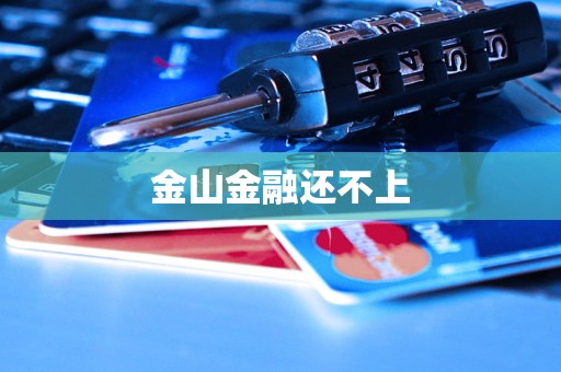 金山金融还不上 金山金融还不上
