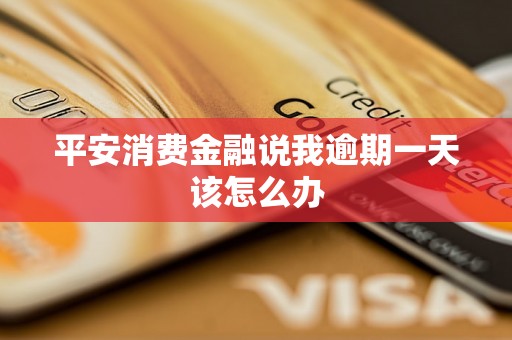 平安消费金融说我逾期一天该怎么办 平安消费金融说我逾期一天该怎么办