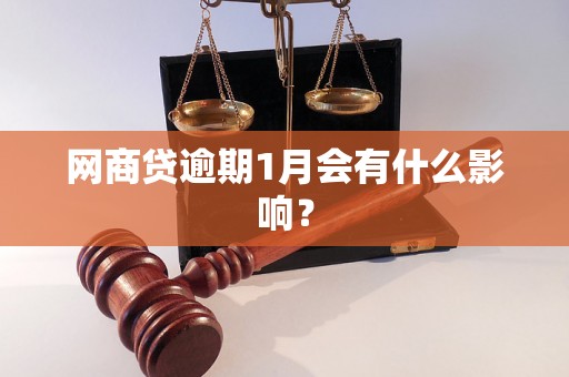 网商贷逾期1月会有什么影响？