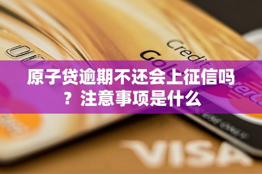原子贷逾期不还会上征信吗？注意事项是什么