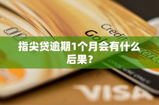 指尖贷逾期1个月会有什么后果？