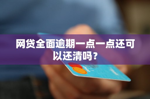 网贷全面逾期一点一点还可以还清吗？