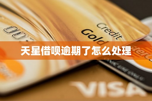 天星借呗逾期了怎么处理 天星借呗逾期了怎么处理