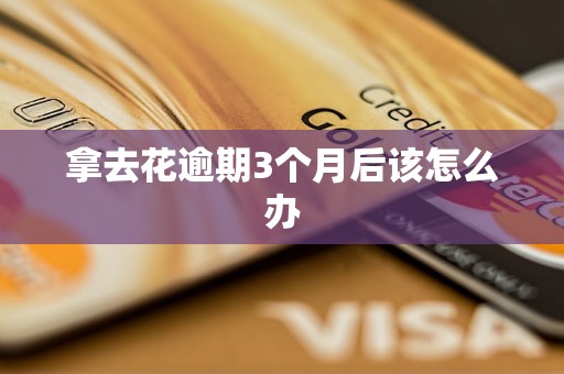 拿去花逾期3个月后该怎么办 拿去花逾期3个月后该怎么办