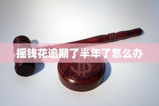 摇钱花逾期了半年了怎么办