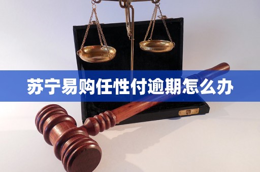 苏宁易购任性付逾期怎么办 苏宁易购任性付逾期怎么办