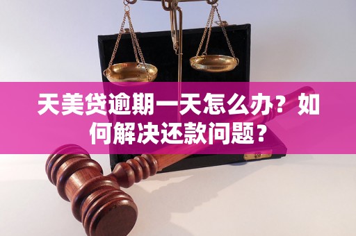 天美贷逾期一天怎么办？如何解决还款问题？