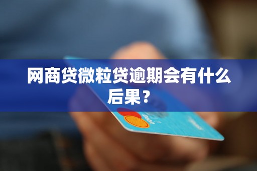 网商贷微粒贷逾期会有什么后果？