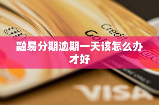 融易分期逾期一天该怎么办才好