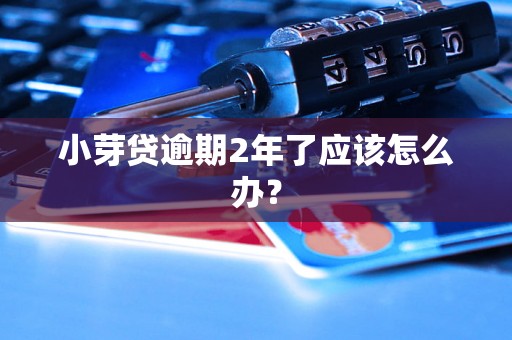 小芽贷逾期2年了应该怎么办？