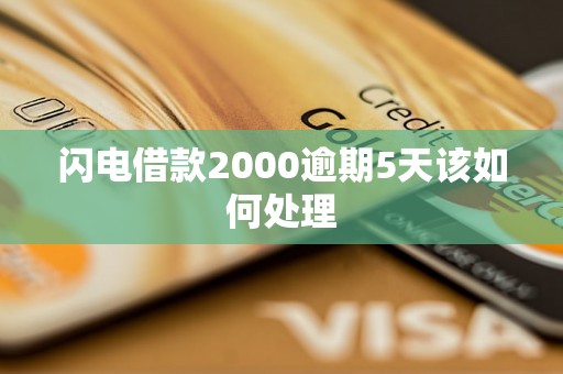 闪电借款2000逾期5天该如何处理