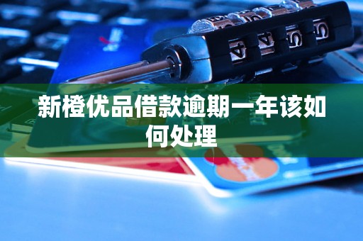 新橙优品借款逾期一年该如何处理