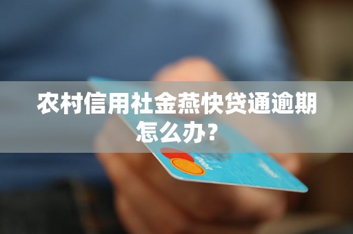 农村信用社金燕快贷通逾期怎么办? 农村信用社金燕快贷通逾期怎么办?