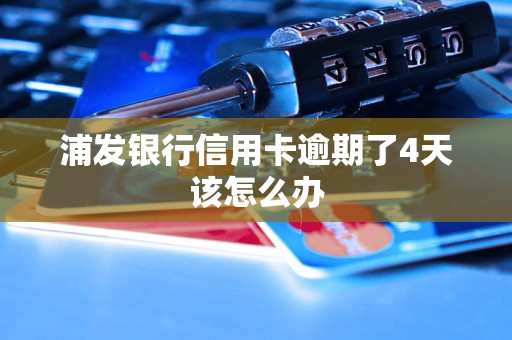 浦发银行信用卡逾期了4天该怎么办