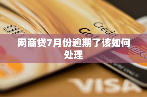 网商贷7月份逾期了该如何处理