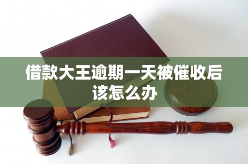借款大王逾期一天被催收后该怎么办 借款大王逾期一天被催收后该怎么办