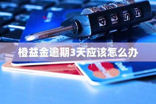 橙益金逾期3天应该怎么办