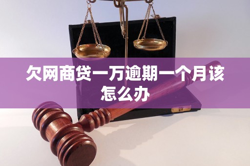 欠网商贷一万逾期一个月该怎么办