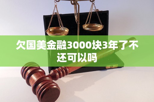 欠国美金融3000块3年了不还可以吗 欠国美金融3000块3年了不还可以吗