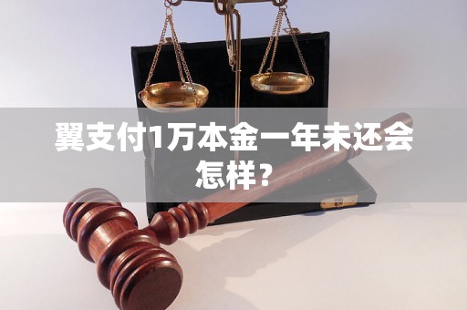 翼支付1万本金一年未还会怎样？