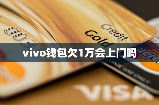 vivo钱包欠1万会上门吗 vivo钱包欠1万会上门吗