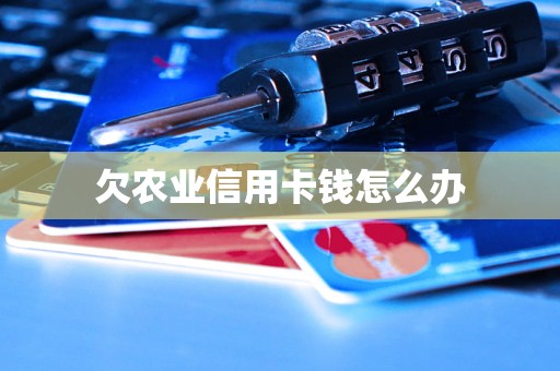 欠农业信用卡钱怎么办 欠农业信用卡钱怎么办