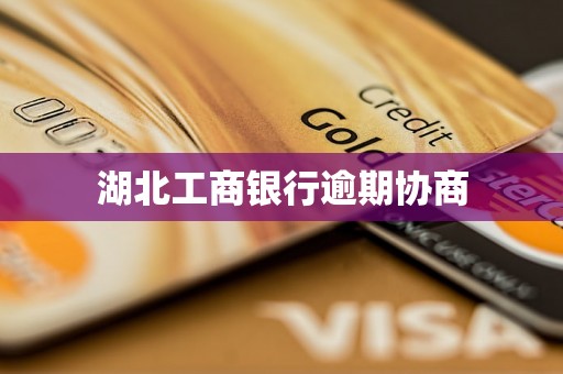 湖北工商银行逾期协商