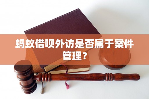 蚂蚁借呗外访是否属于案件管理？