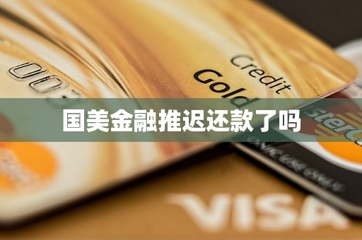 国美金融推迟还款了吗